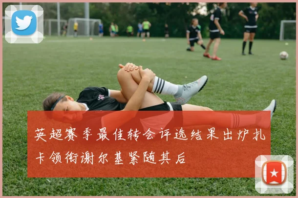 英超赛季最佳转会评选结果出炉扎卡领衔谢尔基紧随其后