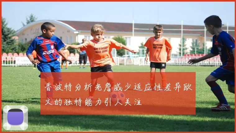 香波特分析老詹威少适应性差异欧文的独特能力引人关注